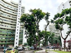Pine Grove (D21), Condominium #519638811